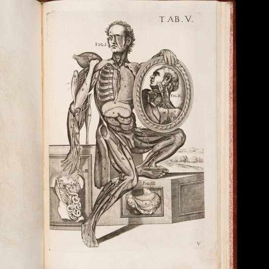 Tabulae Anatomicae a celeberrimo pictore Petro Berrettino Cortonensi delineatae, & amp; egregiè aeri incisae nunc primum produent, et a Cajetano Petrioli Romano...