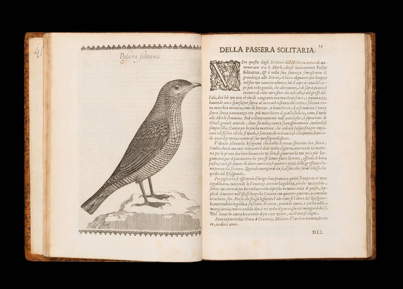 Vccelliera ouero discorso della natura, e proprieta di diuersi vccelli, e in particolare di que' che cantano. Con il modo di prendergli, conoscergli, alleuargli, e mantenergli. E con le figure cauate dal vero, e diligentemente intagliate dal Tempesta, e d