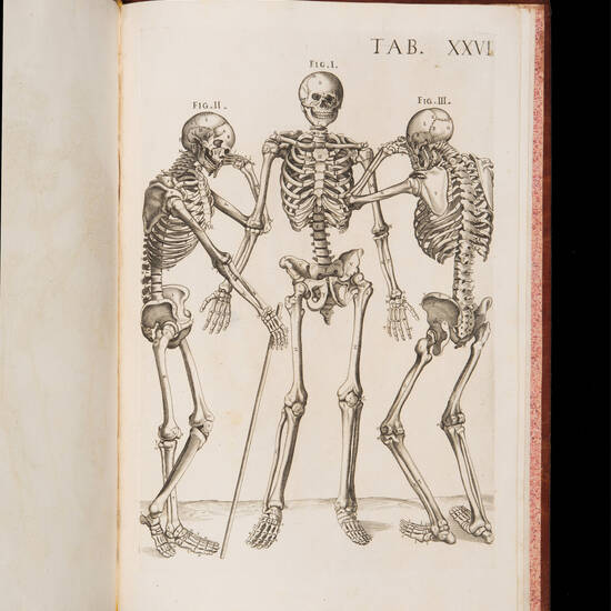 Tabulae Anatomicae a celeberrimo pictore Petro Berrettino Cortonensi delineatae, & amp; egregiè aeri incisae nunc primum produent, et a Cajetano Petrioli Romano...